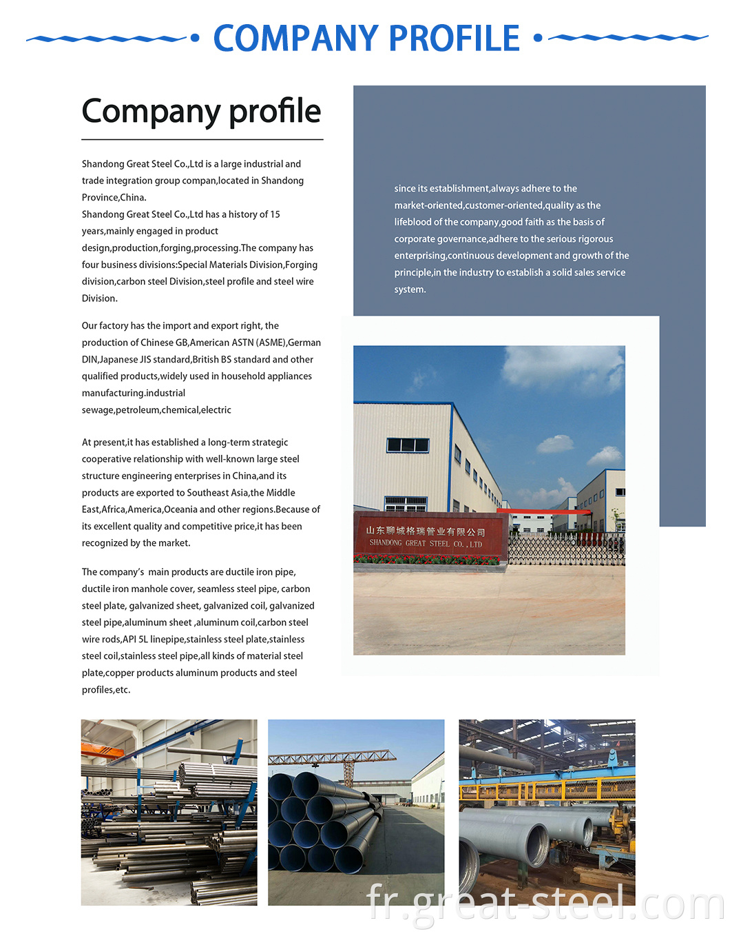 company profile